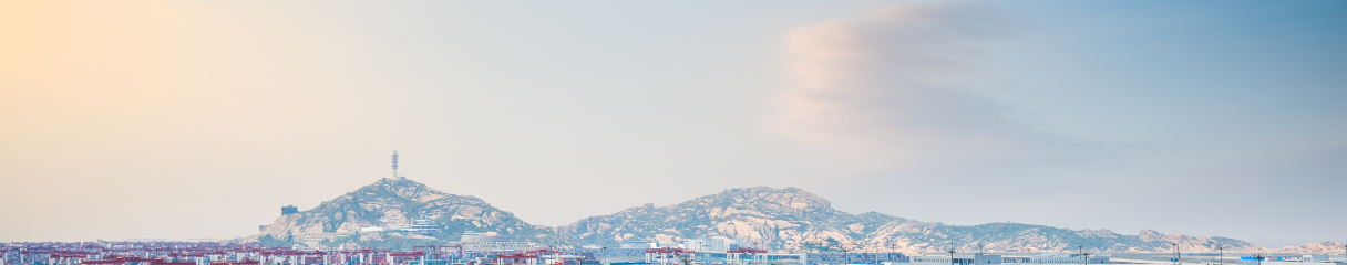 Banner image